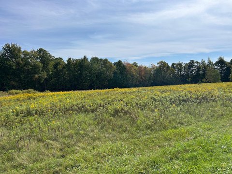 Norwood Building Lot For Sale