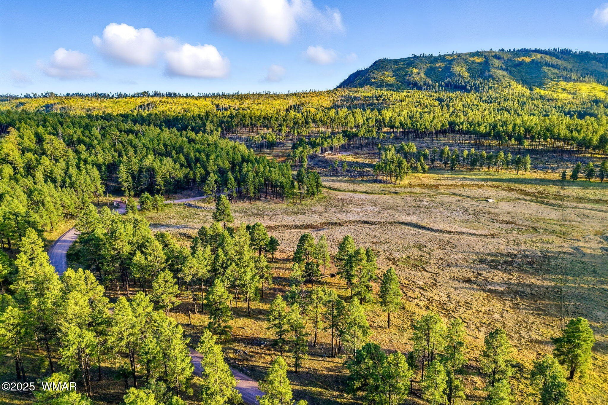 17.25 Acres Near Alpine, AZ