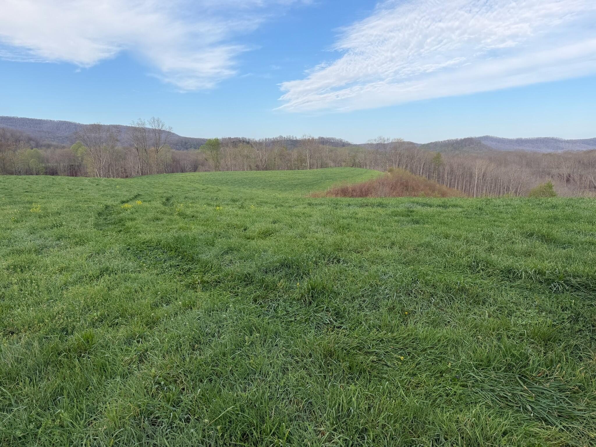 Productive Land in Alderson, WV