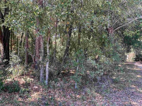 Pensacola Buildable Wooded Lot