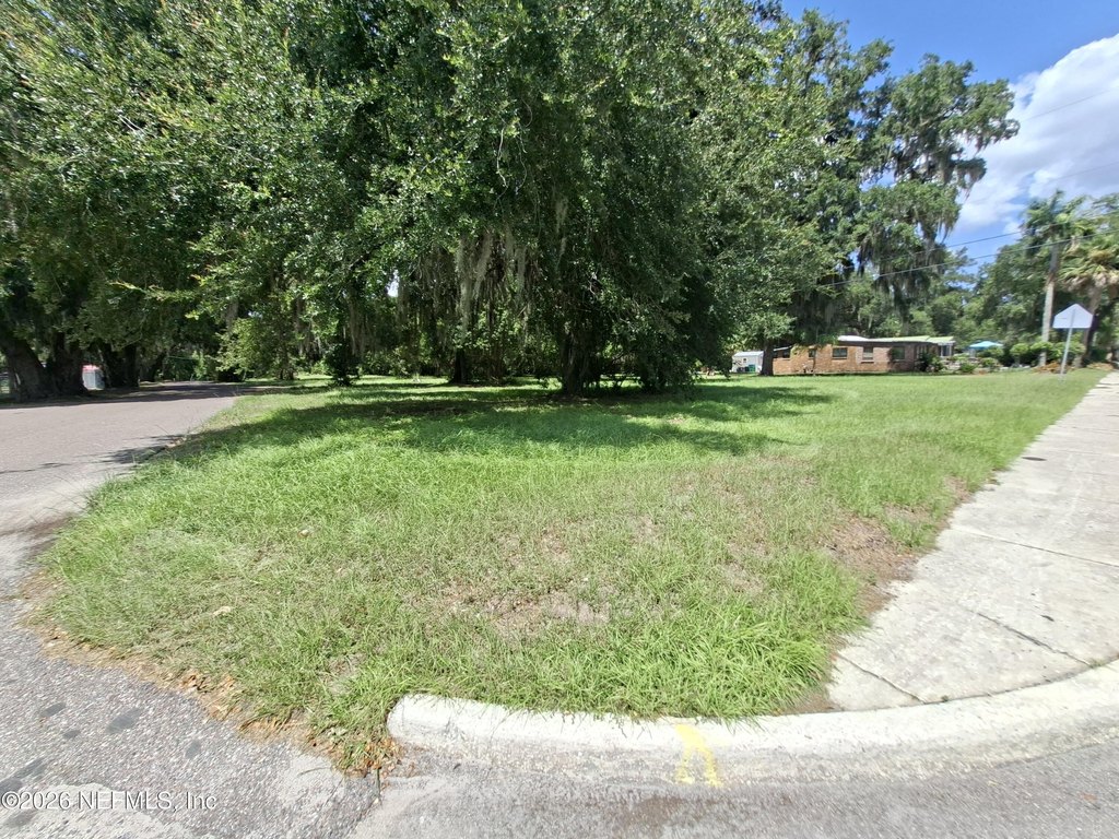 Picture 5