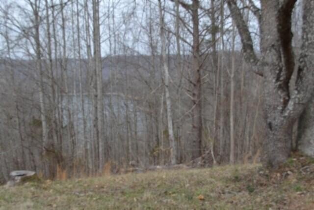 Picture 14