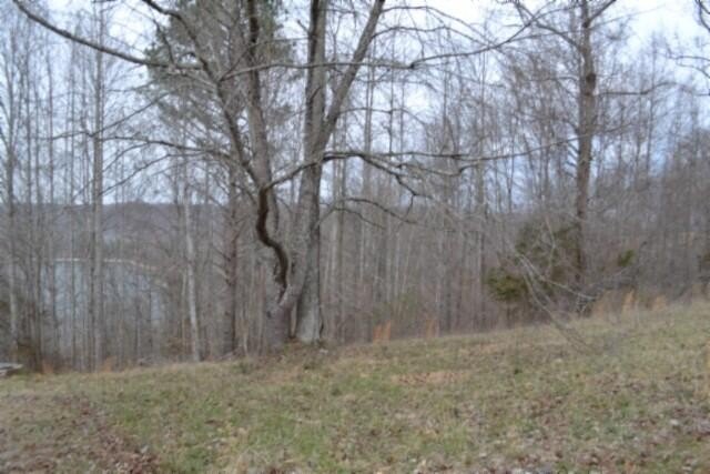 Picture 17