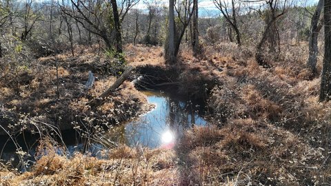 Roxboro, NC Riverfront Land