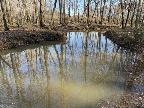 Meriwether County Land For Sale