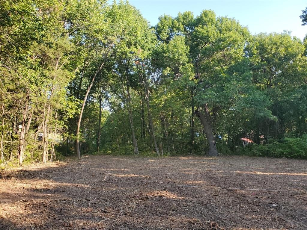 1.55 Acres Wooded Land