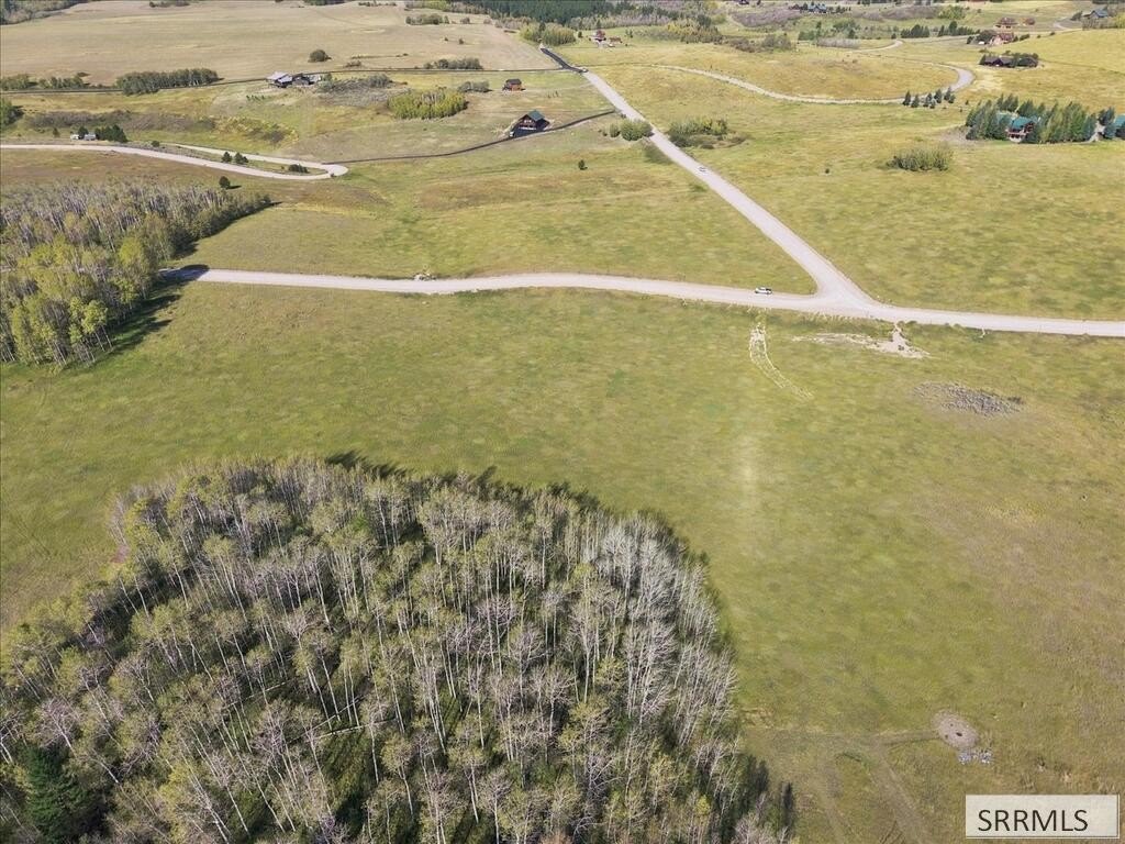Picture 10