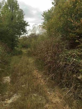 Residential Land in Memphis, TN