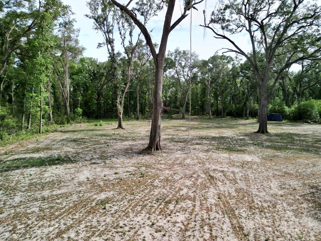 Picture 28