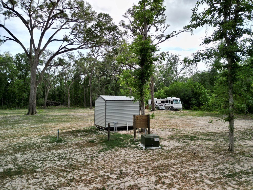 Picture 21