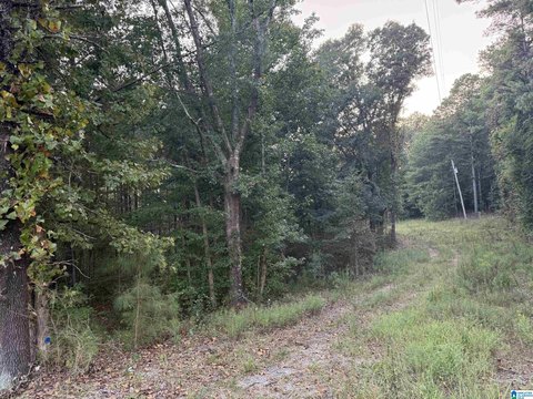 LAND/LOTS, BESSEMER, AL
