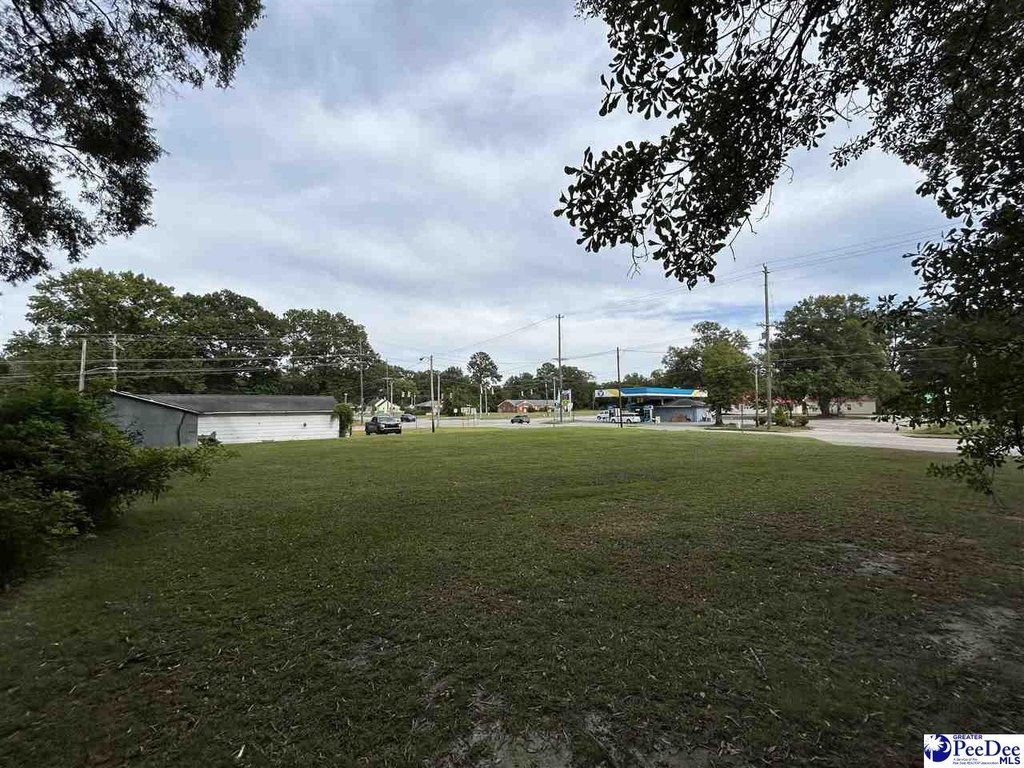 Picture 17