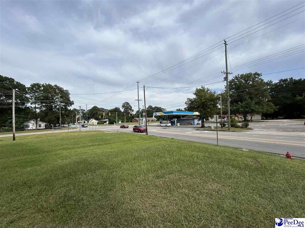 Picture 14