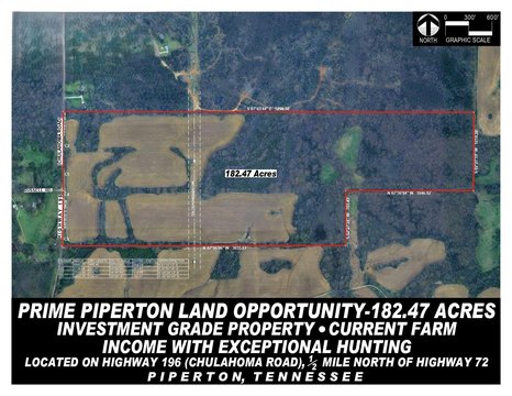 Agricultural Land for Hunting Investment