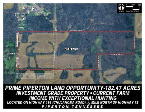 Agricultural Land for Hunting Investment