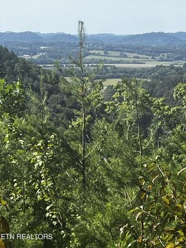 Lots & Acreage, Tellico Plains, TN