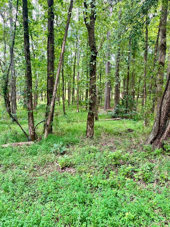 Picture 14