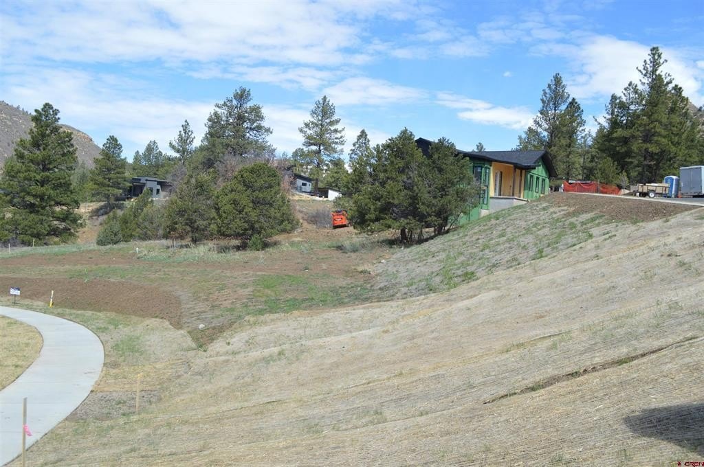 Picture 6