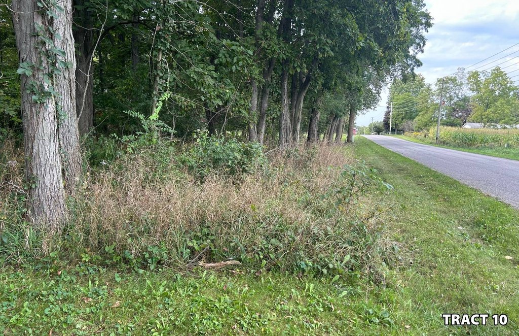 Picture 38