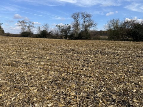 Residential Land Lot on Cul-de-Sac