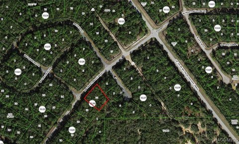LAND - Citrus Springs, FL