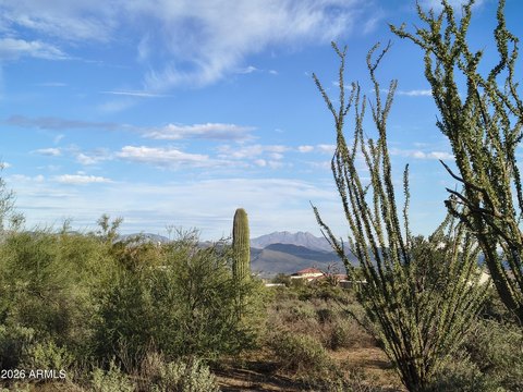 Land, Scottsdale, AZ