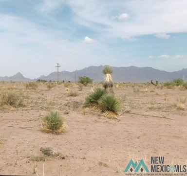 Untouched Desert Land in Deming