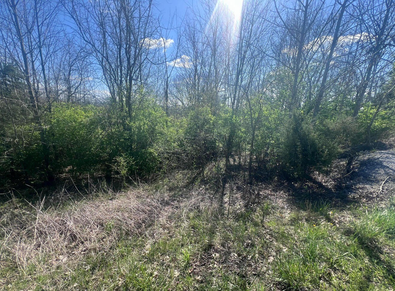 Residential Land in Stanford, Kentucky