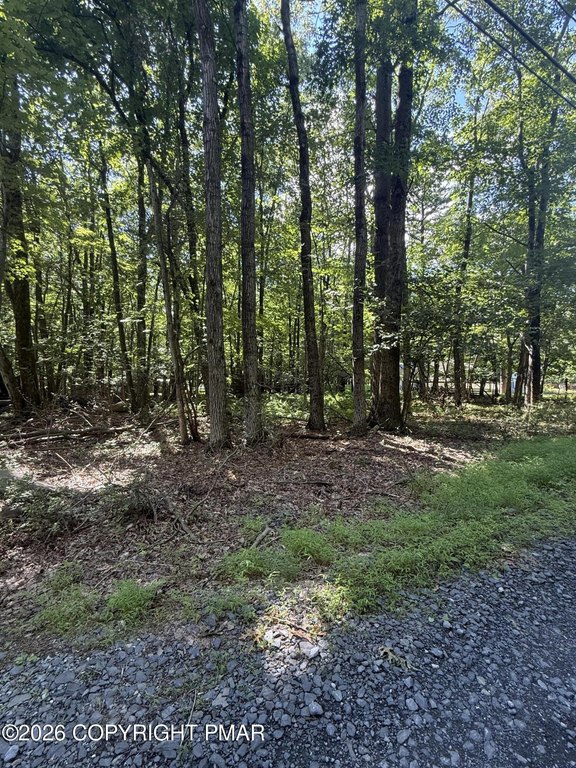 Picture 20
