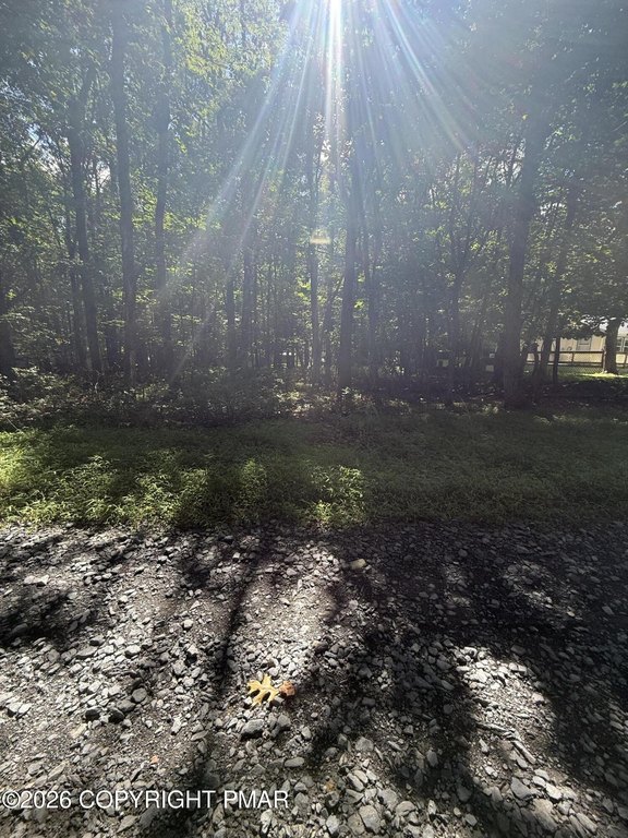Picture 7
