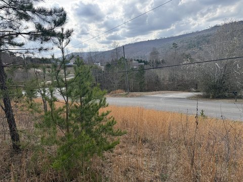 Trenton, GA Land Opportunity