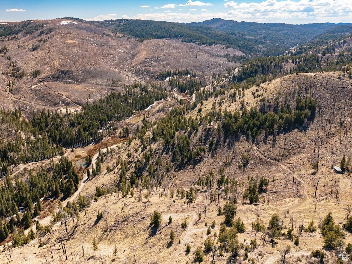 Mountain Acres in Argyle Canyon