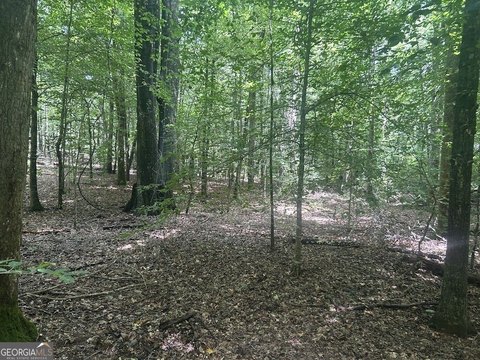 Stream-View Residential Land Tract
