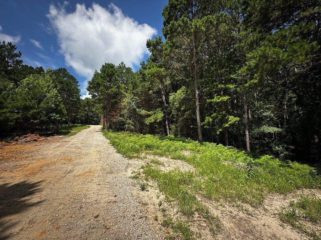 Picture 24