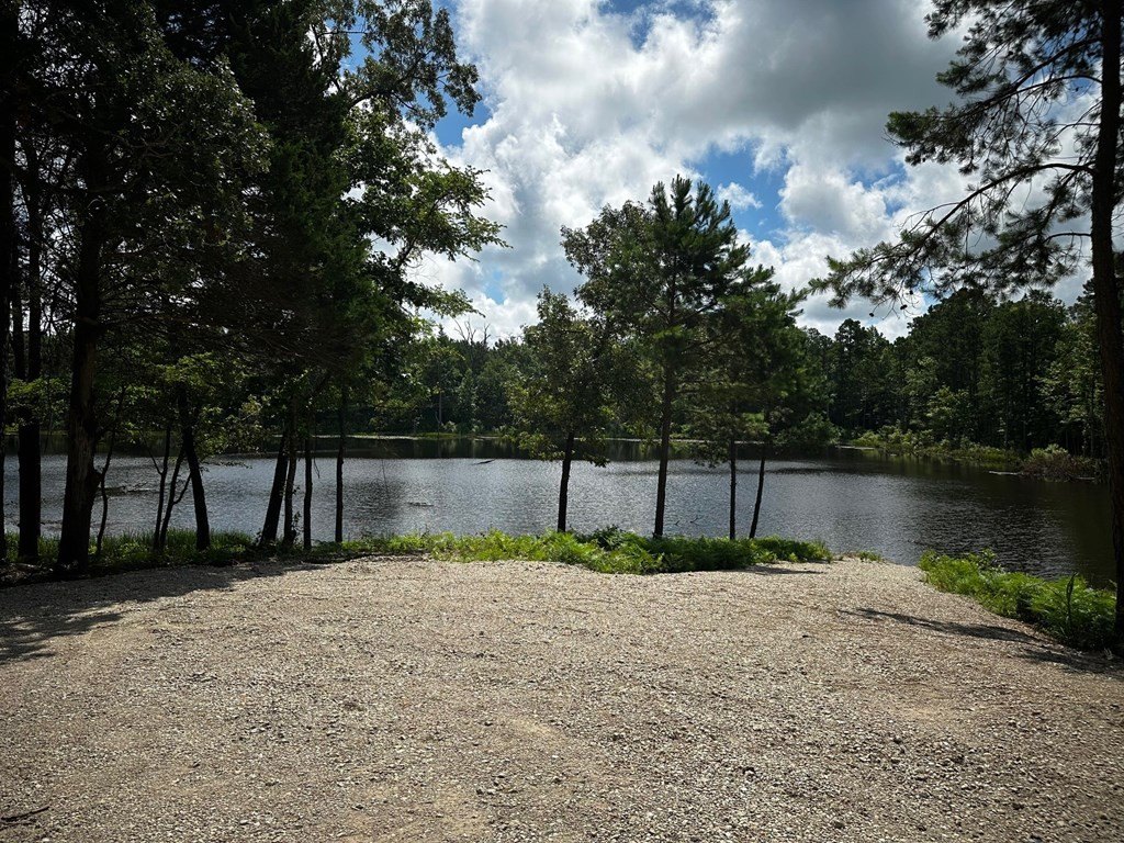 Picture 9