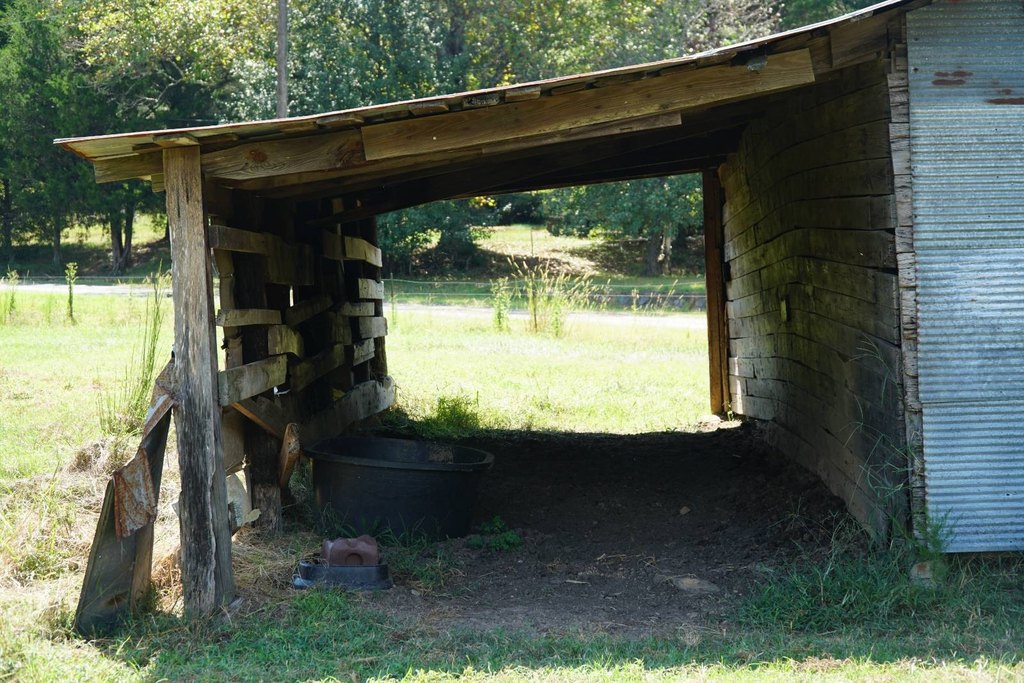 Picture 27