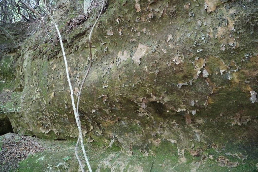 Picture 17