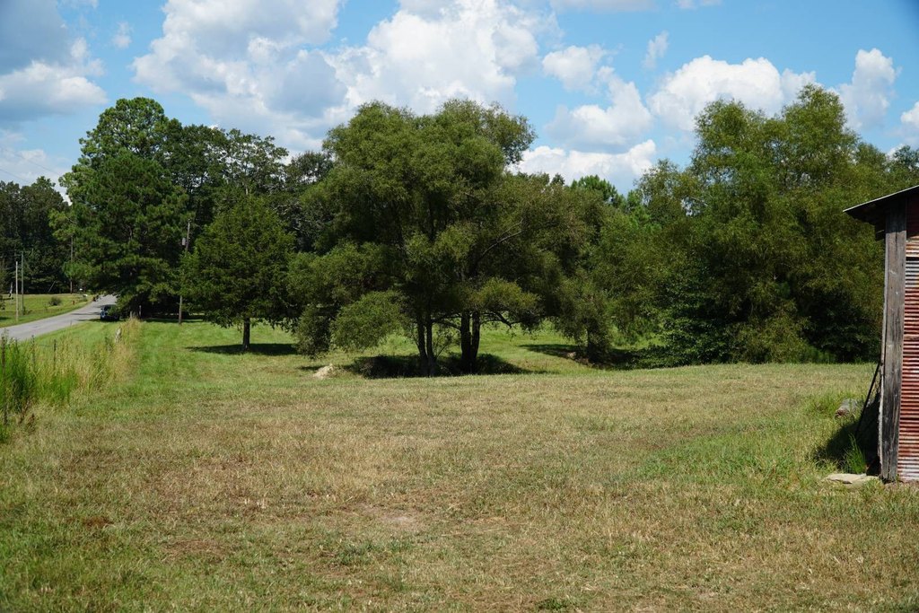 Picture 30