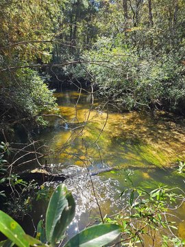 Waterfront Residential Lots in Pace, FL