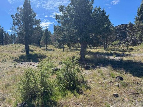 Oversized Lot in Lake Shastina