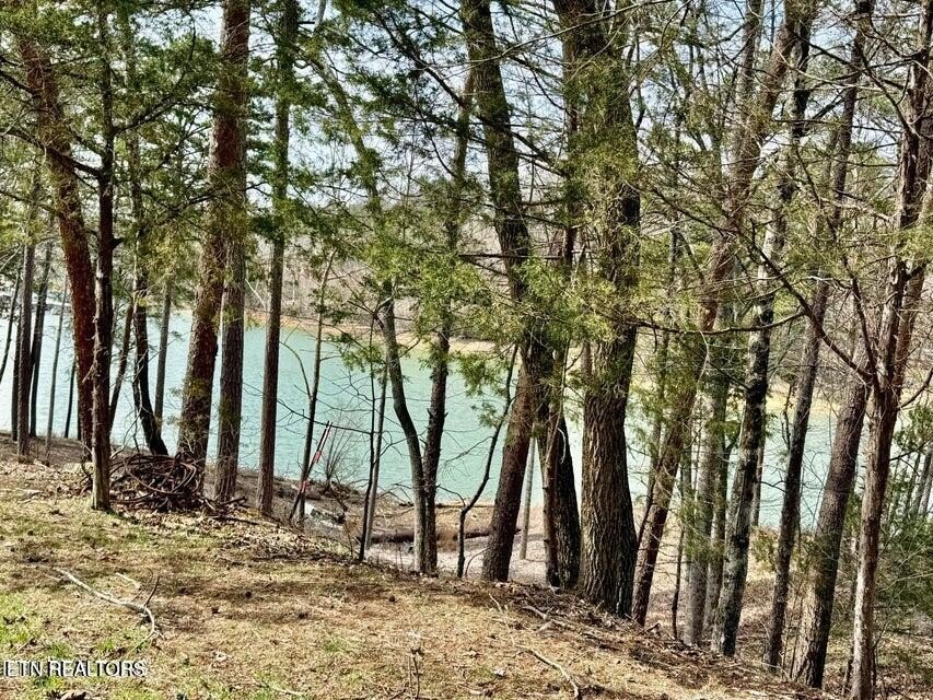 Picture 3