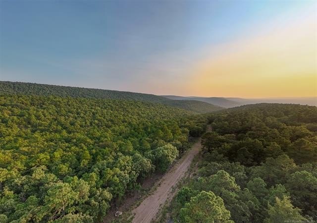 Ouachita Mountain Land Opportunity