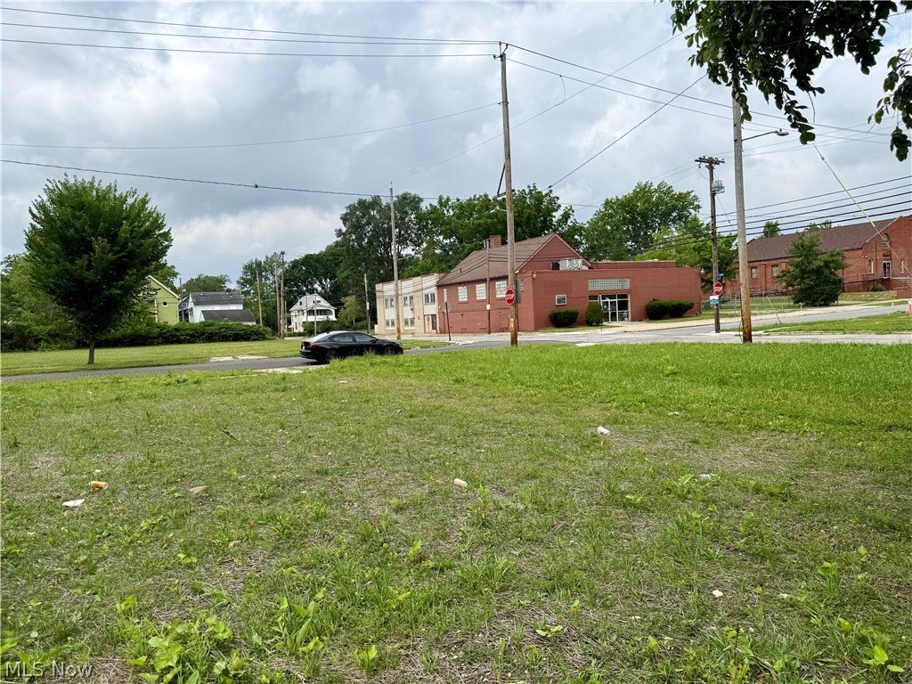 Picture 3