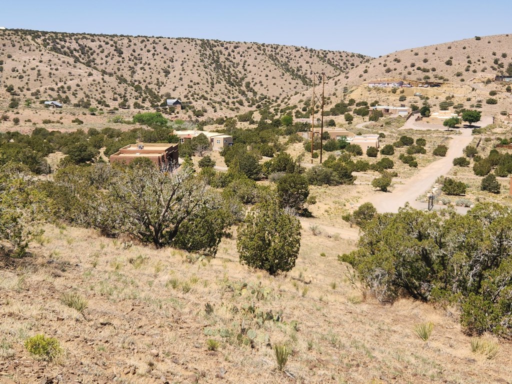 Picture 17