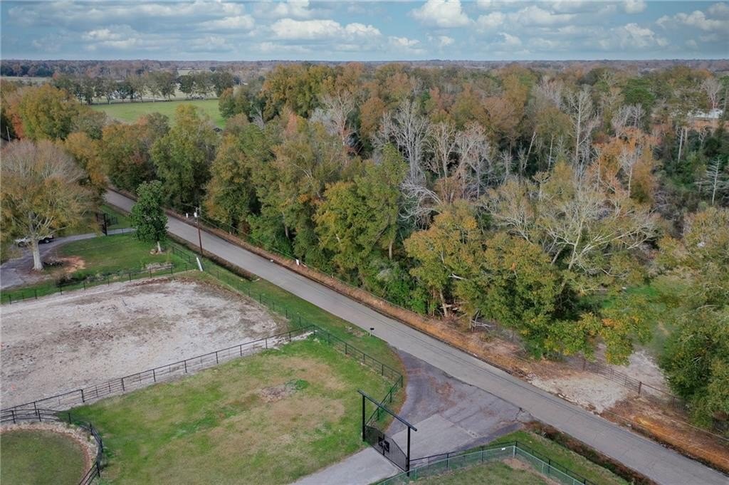 Raw Wooded Land For Sale