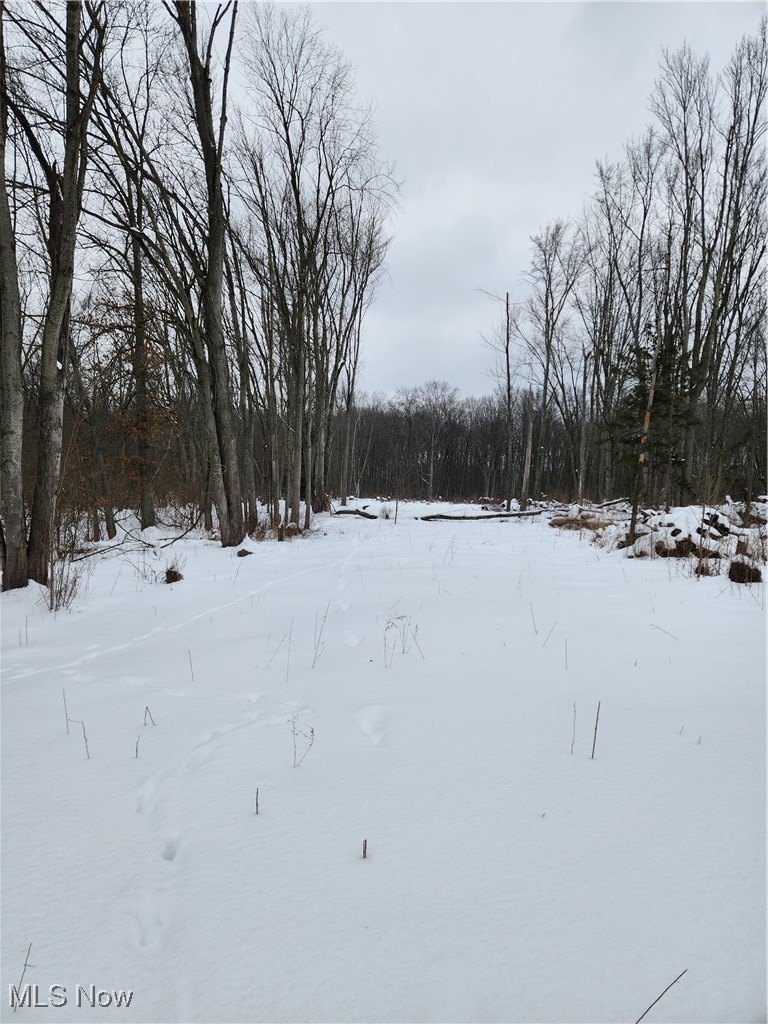 Residential Land in Columbia Station
