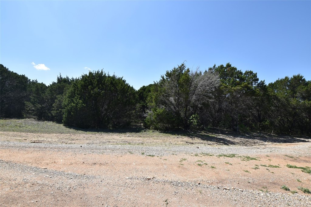 Picture 13