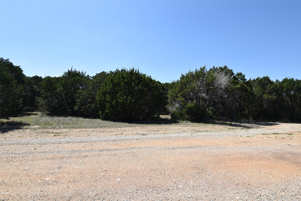 Picture 14