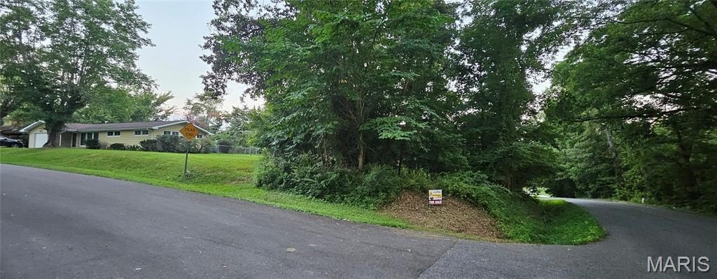 Picture 3