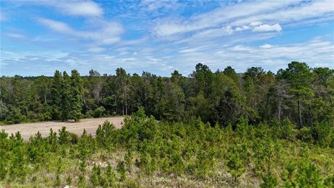 Hunting and Timberland Tract